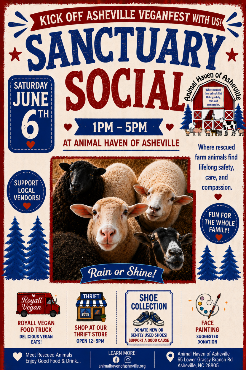 Animal Haven of Asheville Sanctuary Social June 2026