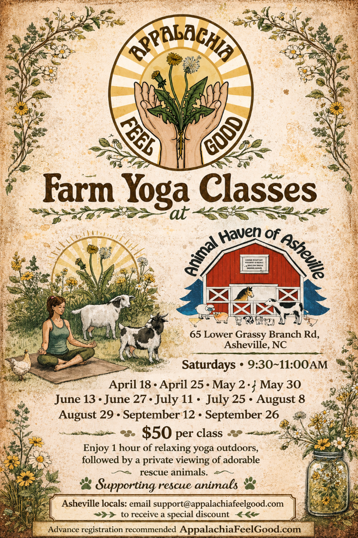 Farm yoga at Animal Haven of Asheville