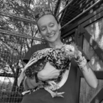 Person caring for a chicken at Animal Haven of Asheville