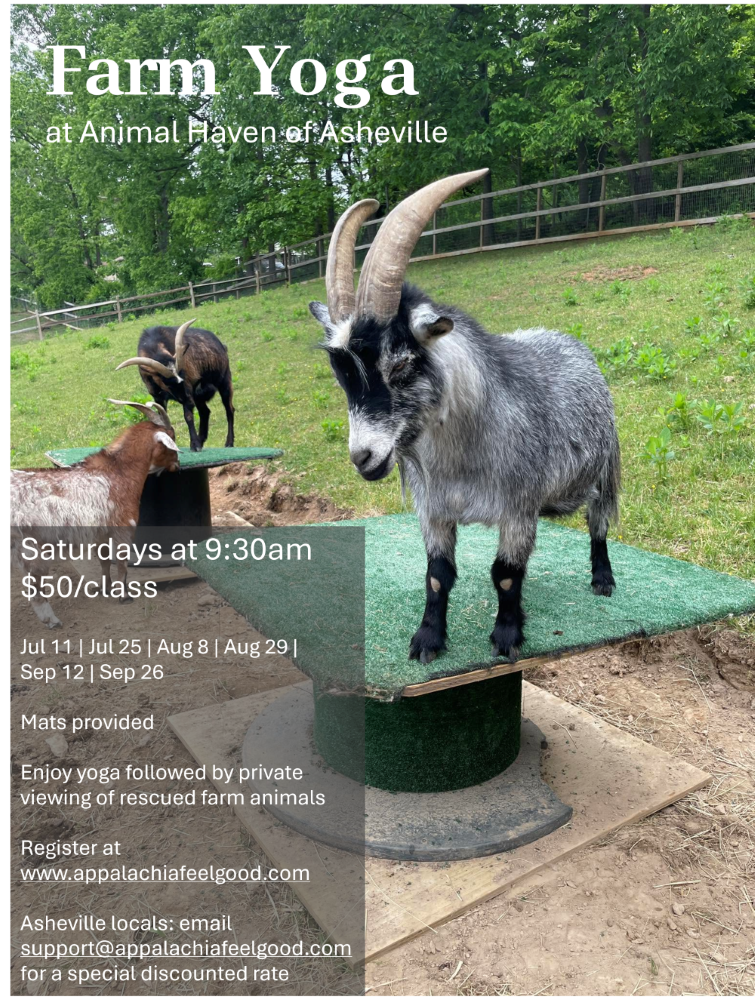 Farm Yoga flyer for summer 2026 classes