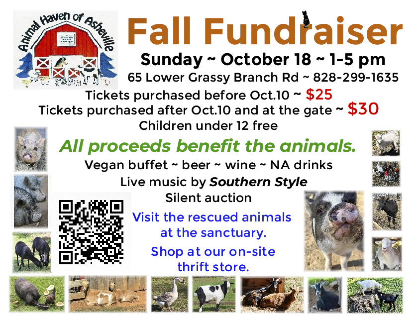 Fall Fundraiser 2026 flyer at Animal Haven of Asheville on Oct 18 at 1pm